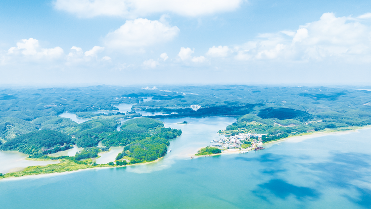 南寧全力以赴推進平陸運河建設工作 平陸運河（南寧段）提前超額完成年度投資任務