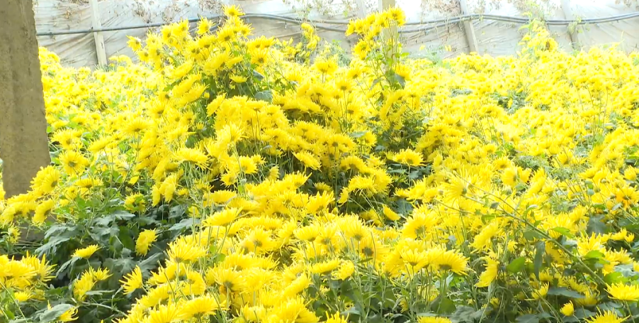 图片默认标题_fororder_2