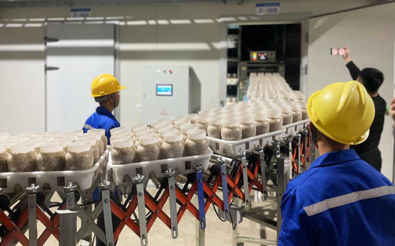 中國（廣西）—東盟現代設施食用菌産業高品質發展大會在貴港舉辦_fororder_圖片3