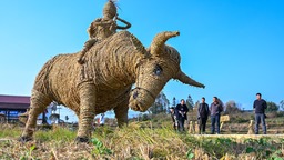 百里杜鹃：农旅融合 丰收花开