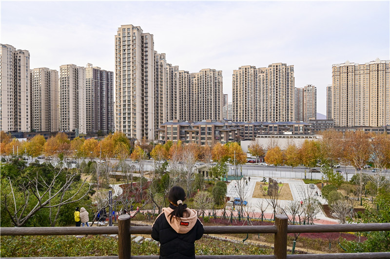 南阳申伯公园：市民尽享西周文化_fororder_市民欣赏申伯公园风景+摄影+张峰