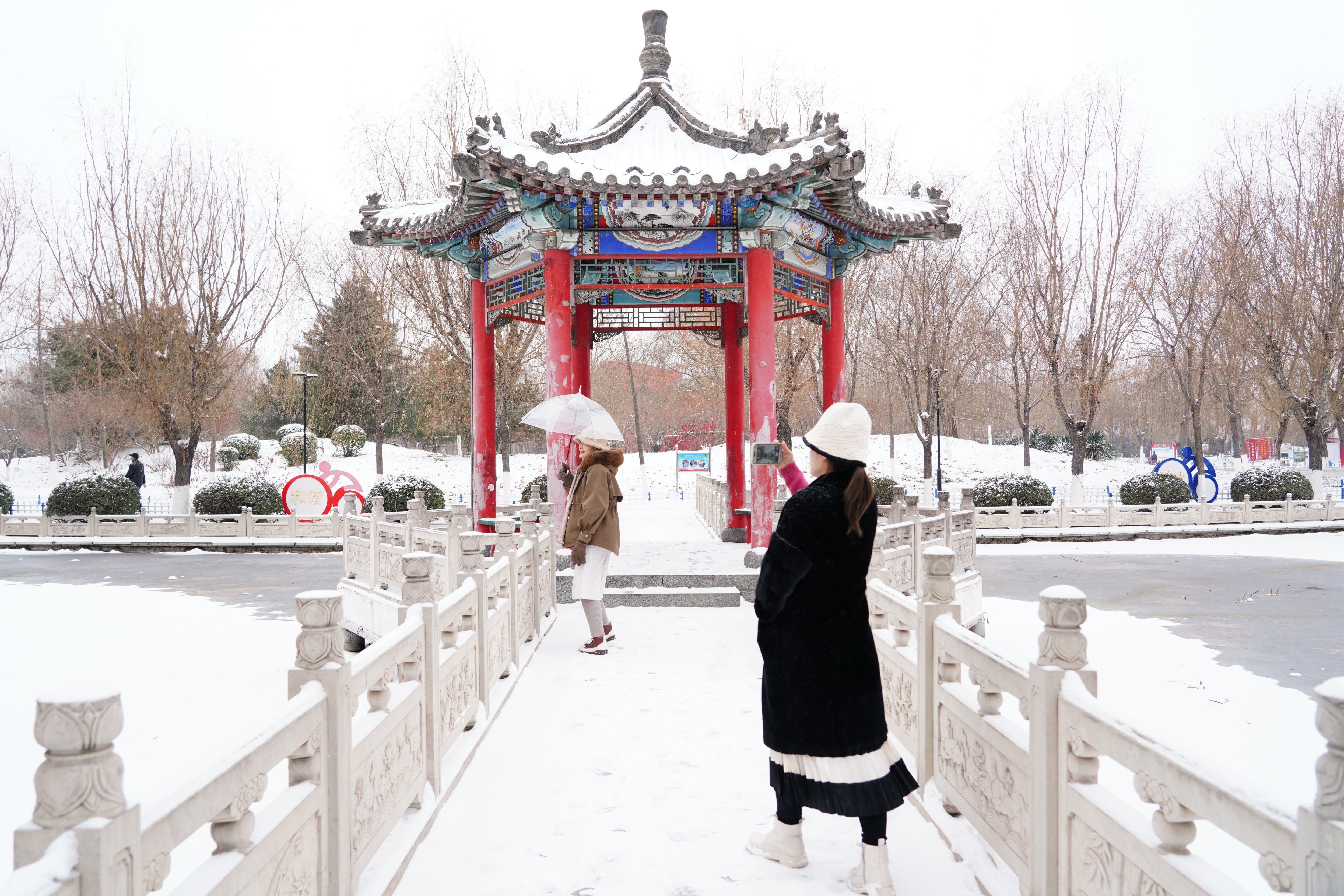 唐山开平：乐享雪中美景_fororder_DSC01473.JPG