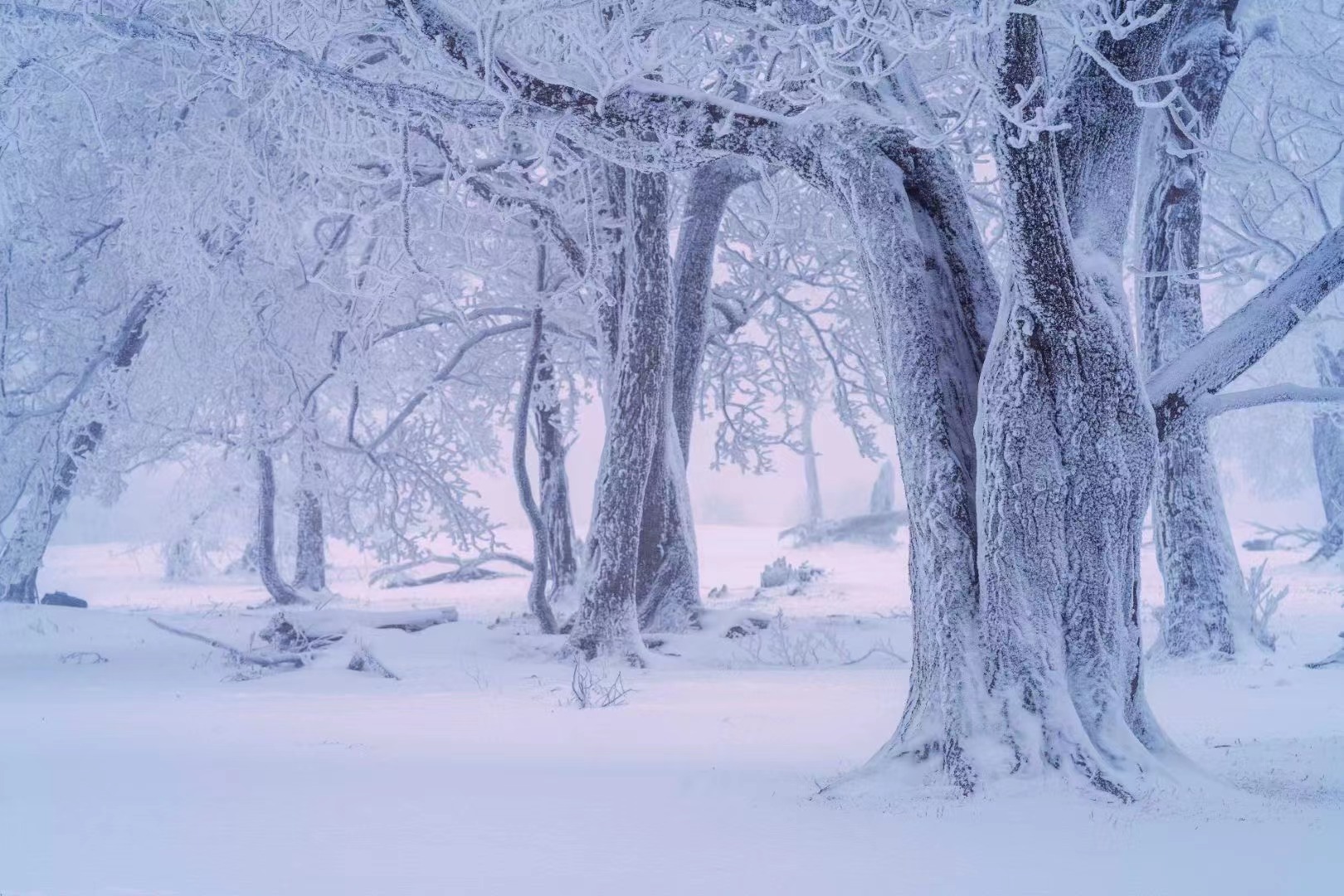 在四方頂邂逅“冰雪奇緣”