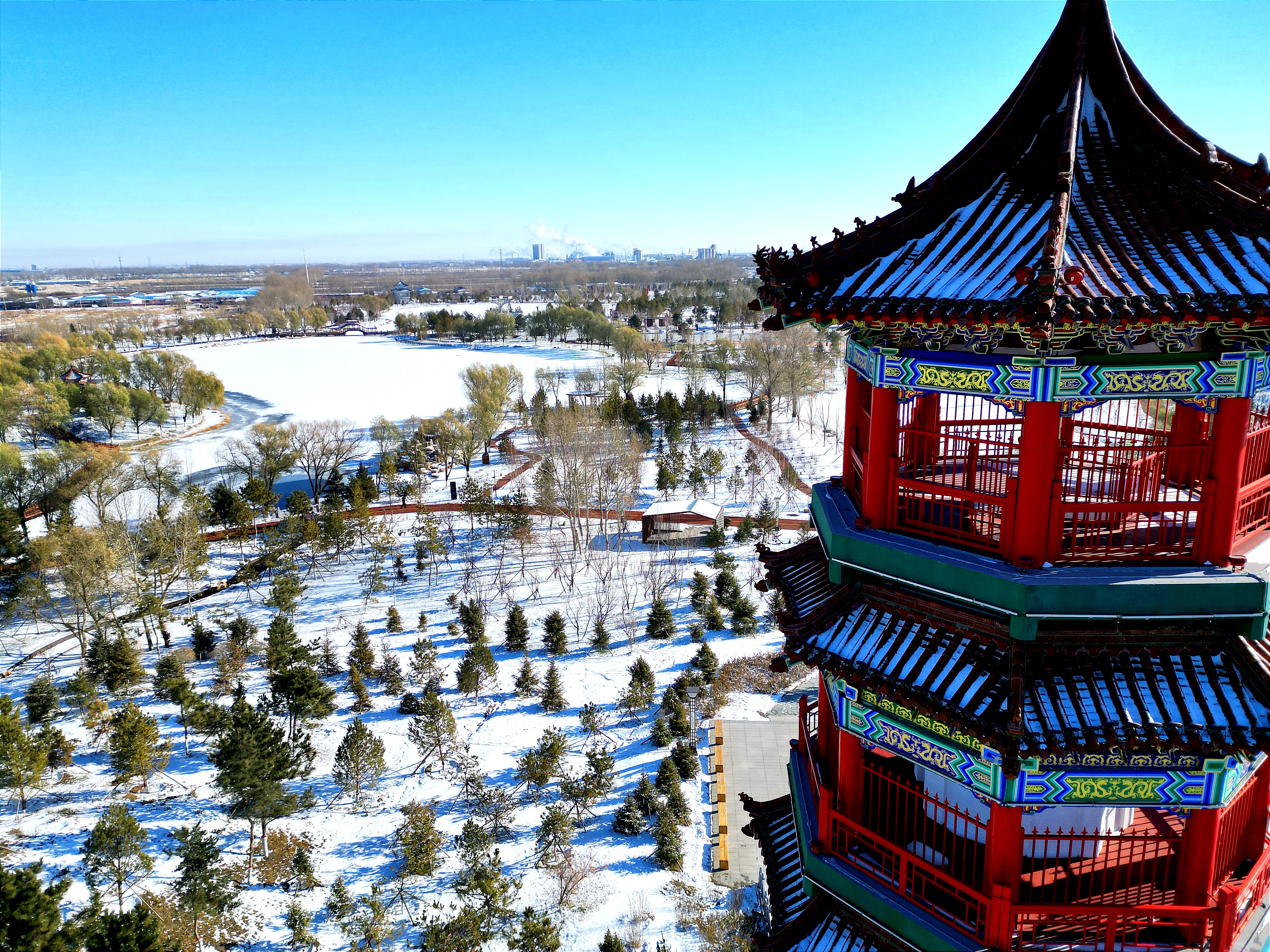 雪后初晴，白城春华园绽放出白色浪漫