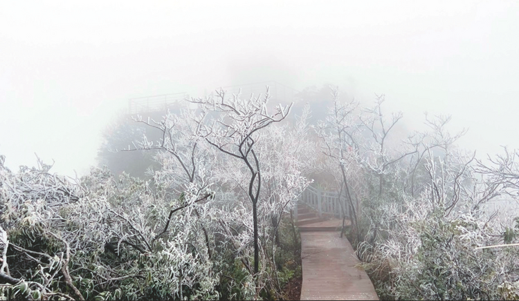 天氣這麼冷，南寧市區會下雪嗎？