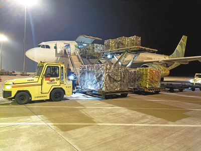 40噸南美車厘子包個飛機來鄭州