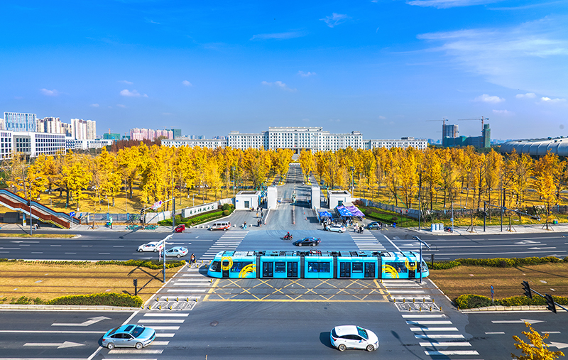 成都发布2023年首期公园城市银杏观叶指数_fororder_校园银杏与电车，夏乐光拍于电子科技大学清水河校区，