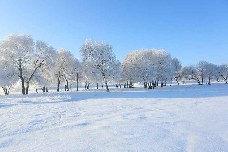 微信背景图冬天雪景图片