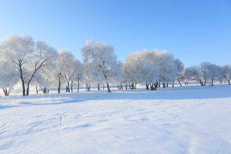 这个冬天到呼伦贝尔来看雪_fororder_WechatIMG75