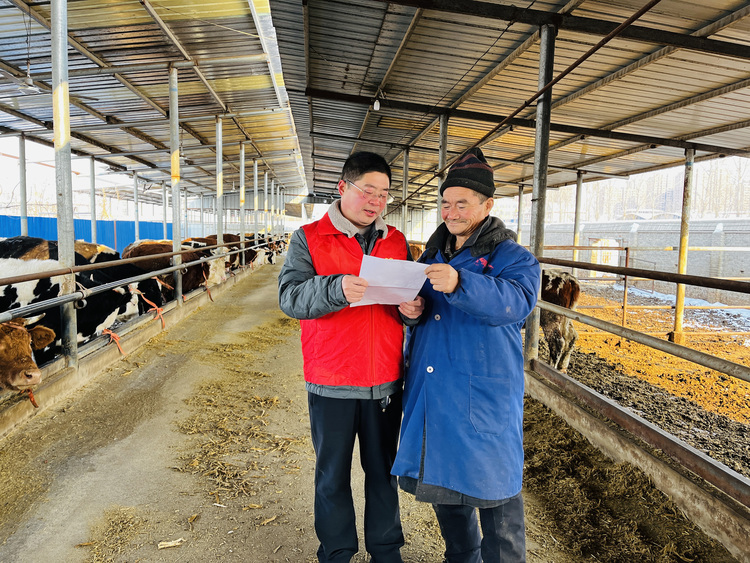 圖片默認標題_fororder_圖為農技人員為奶牛養殖戶講解應對極寒天氣防範措施。（李金璐 攝）.JPG