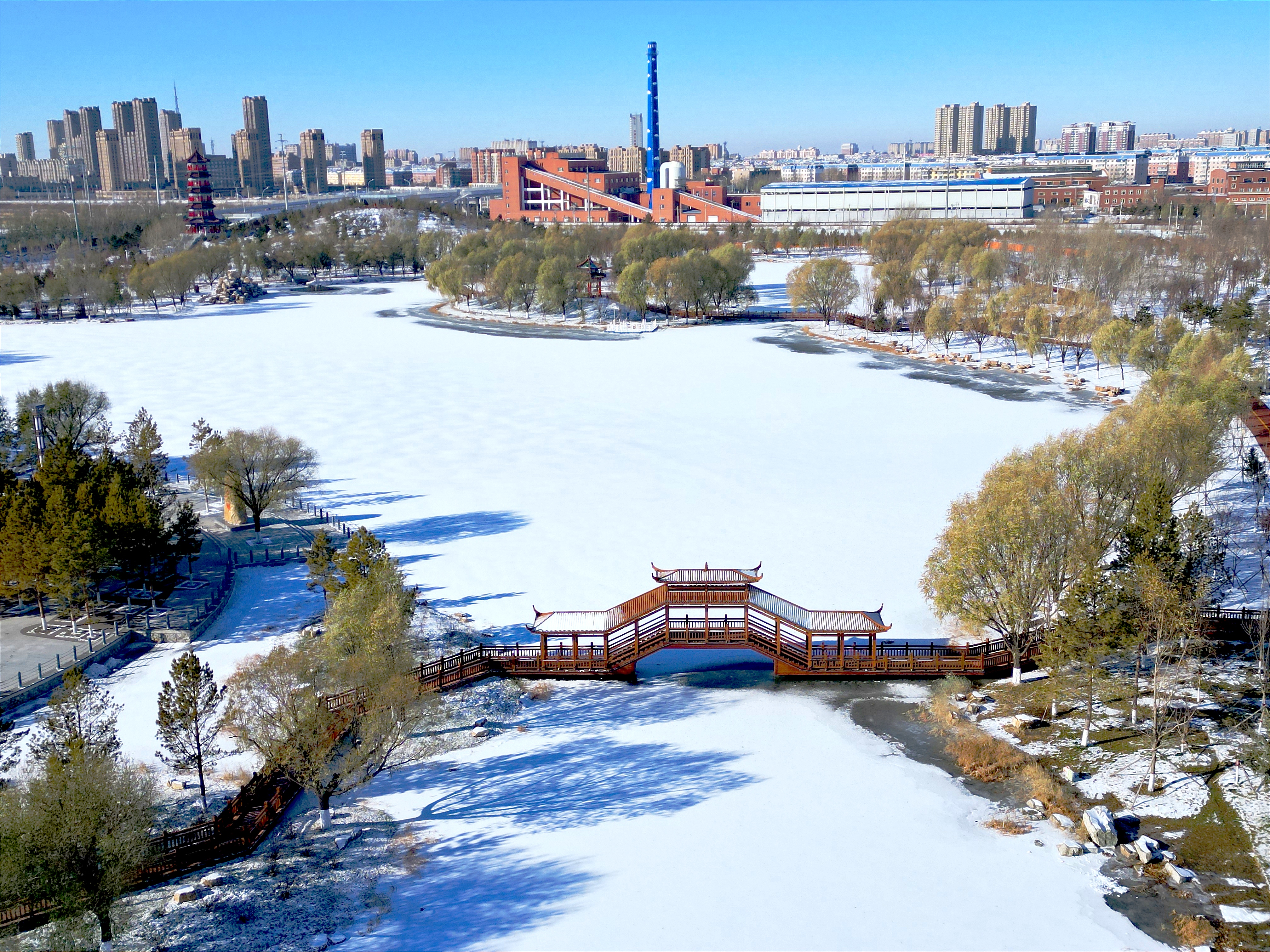 雪后初晴，白城春华园绽放出白色浪漫