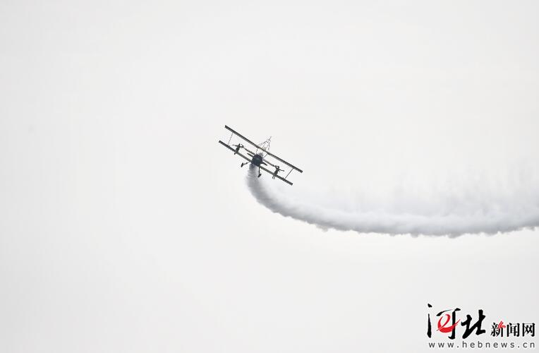 【聚焦航博會】飛行特技表演炫酷登場