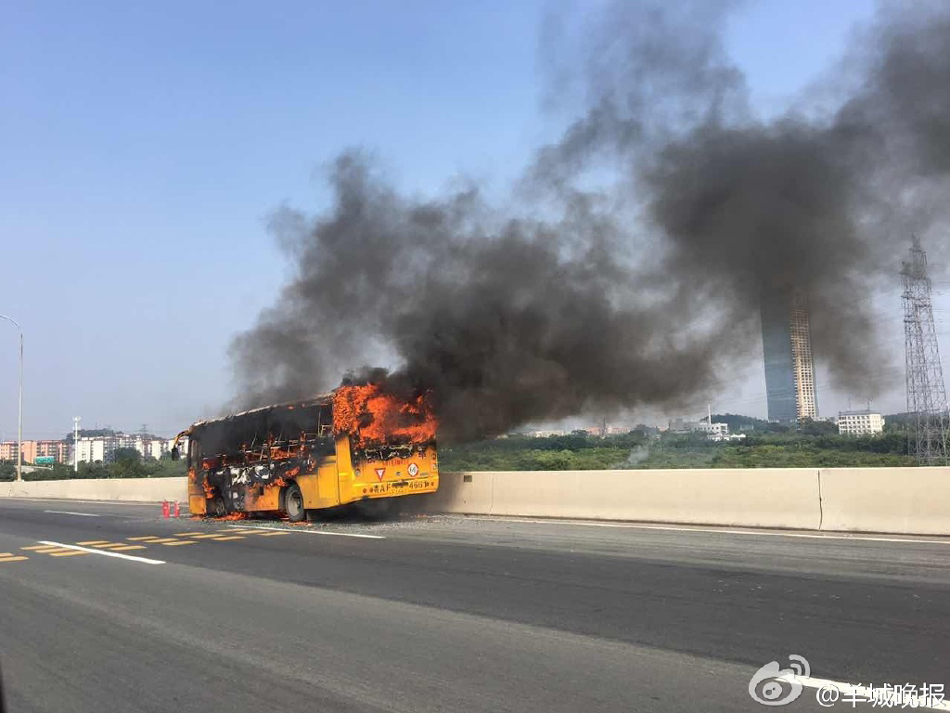 广州南沙港快速路一辆校巴起火(组图)