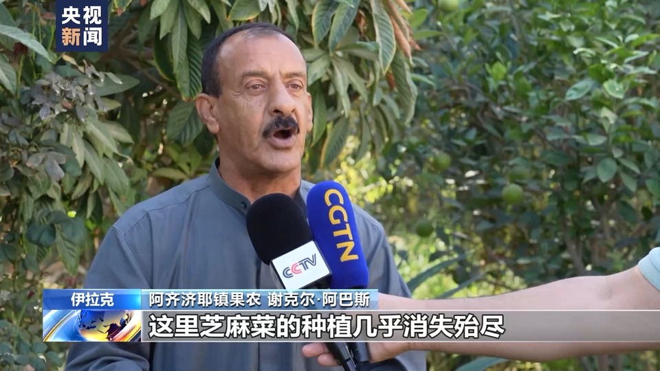 雨季持续干旱 伊拉克果园面临缺水威胁
