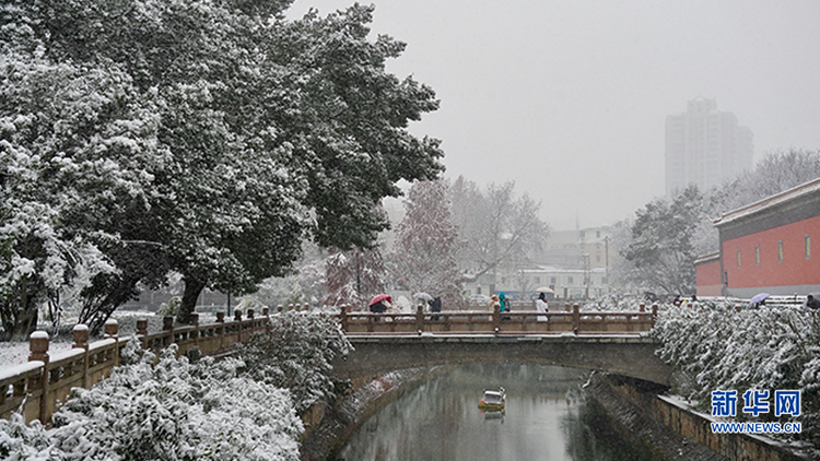 雪绘金陵 美景如画