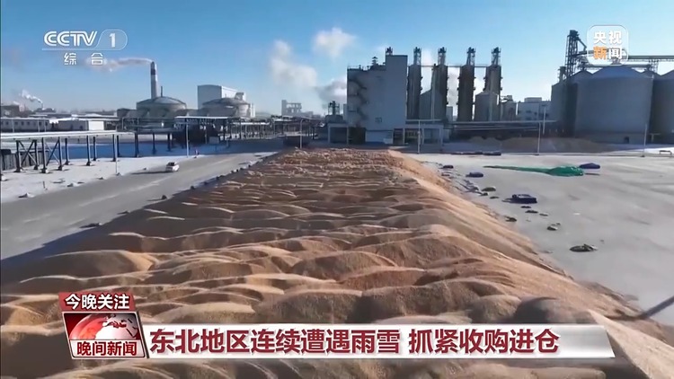 三预警齐发 强寒潮来袭 各地多举措保障群众温暖过冬