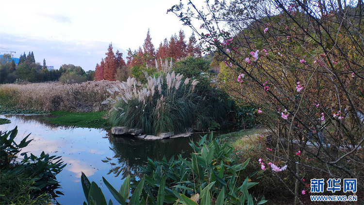 貴陽:立冬未寒景色暖