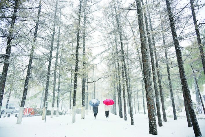 吉林伊通河畔冰雪丹青