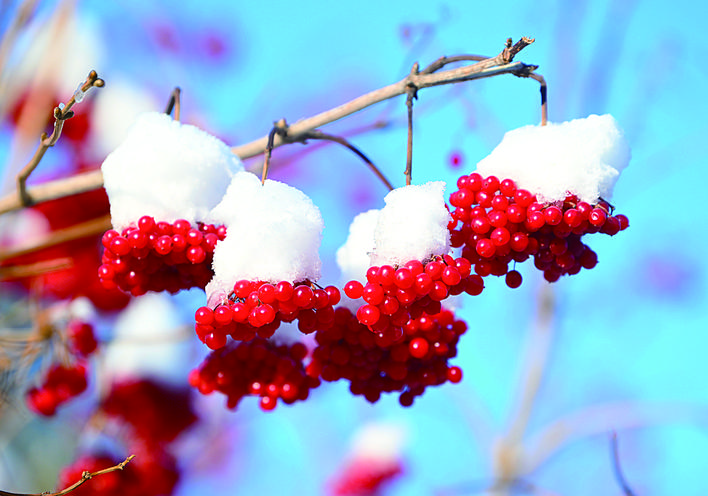 吉林伊通河畔冰雪丹青