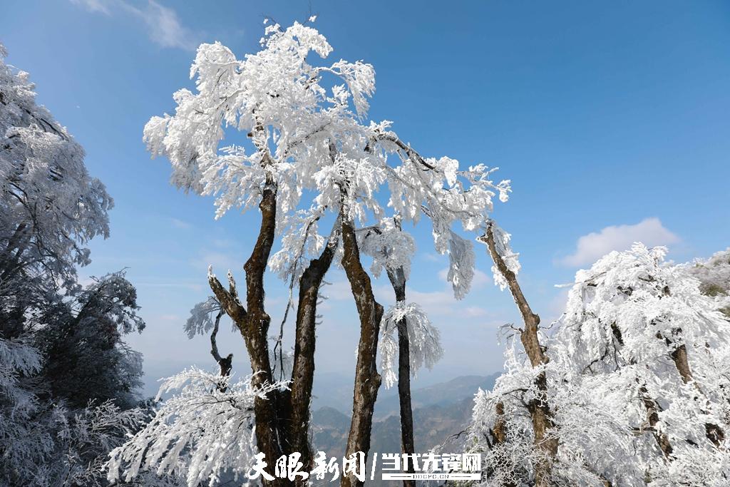 贵州剑河：老山界雾凇美如画卷