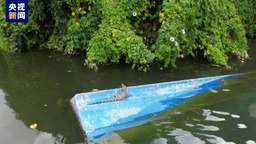 海南海口红城湖公园发现鳄鱼 当地已组织专业队伍成功捕捉