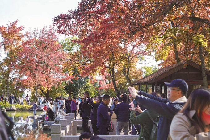 这里“枫”景独好