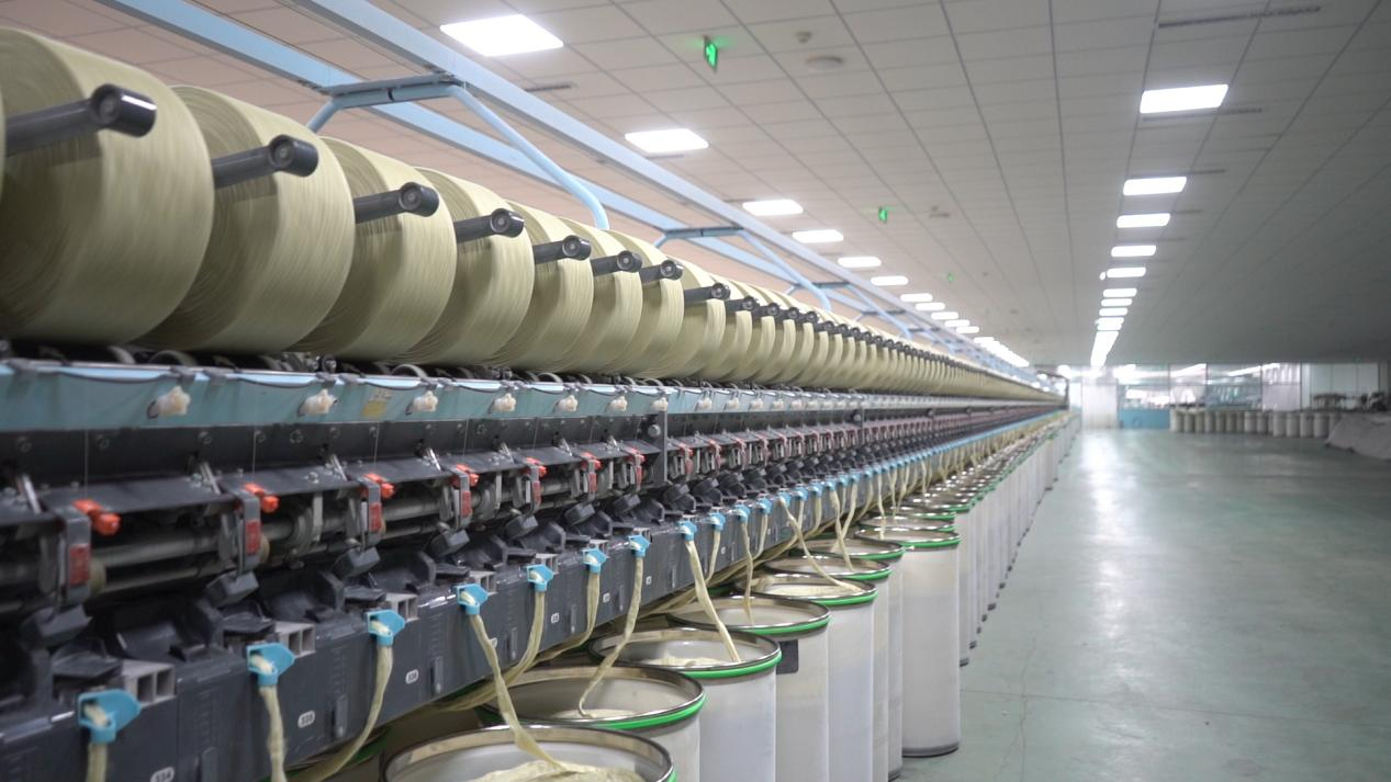 河北威县：优化数字营商环境 激发企业投资活力_fororder_图片6