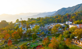 美拉德风升温黄山秋日经济