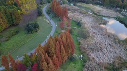 贵阳：立冬未寒景色暖