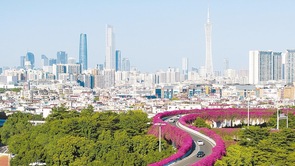 《广东省城市绿化条例》时隔23年首次修订