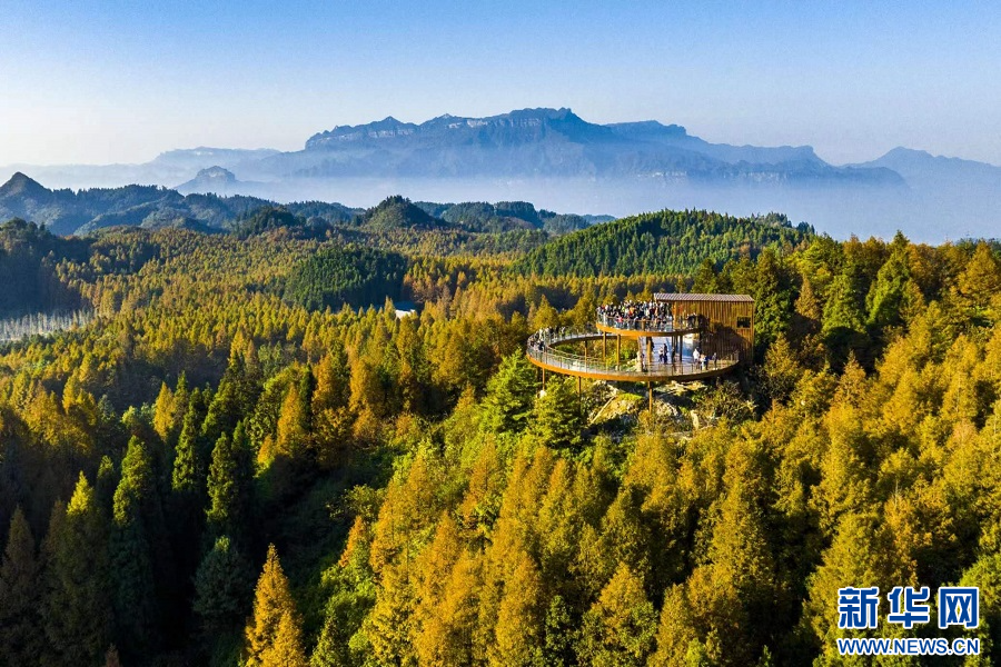 重庆南川：山王坪霜林尽染