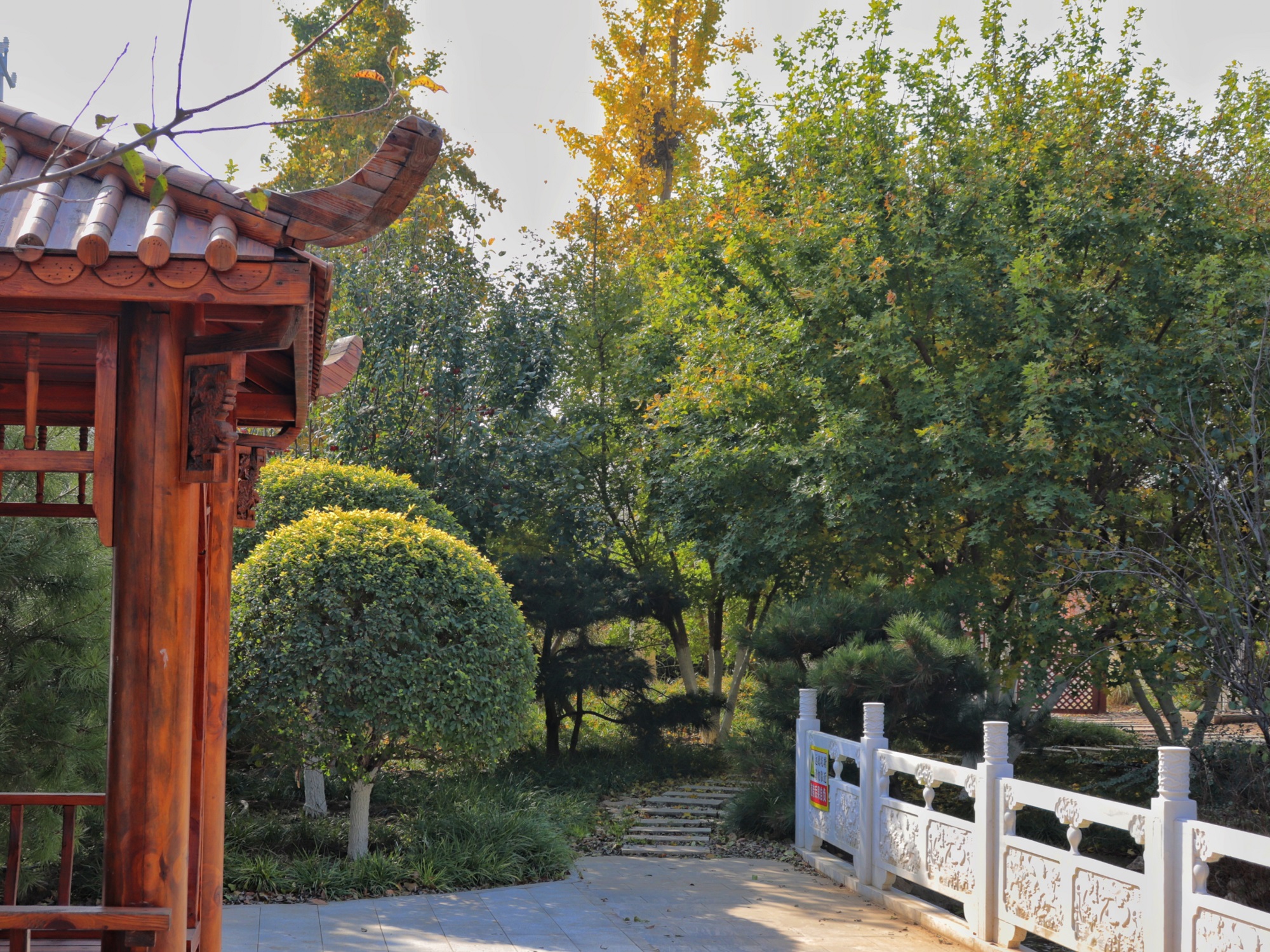 圖片默認標題_fororder_2