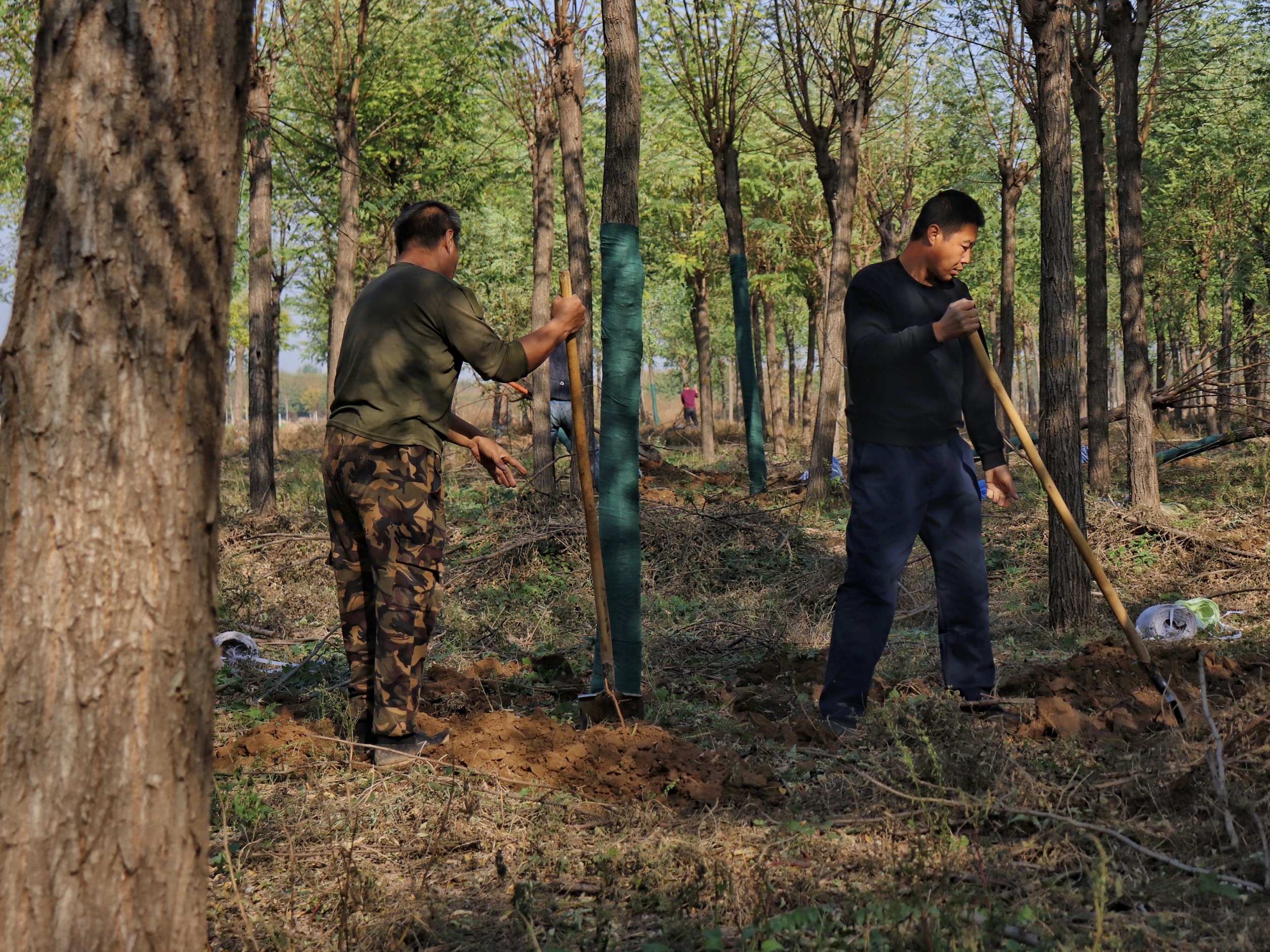 圖片默認標題_fororder_5