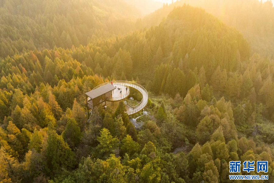 重庆南川：山王坪霜林尽染