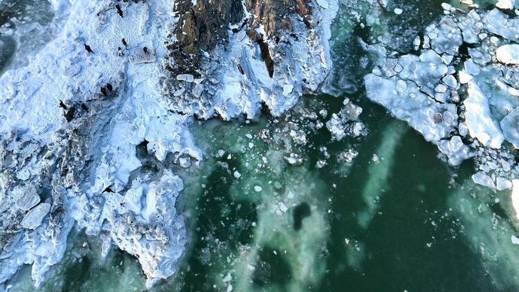 葫芦岛海岸出现大面积冰凌
