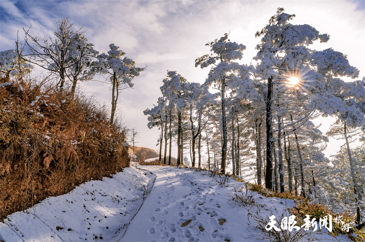 冬遊涼都“趣”滑雪