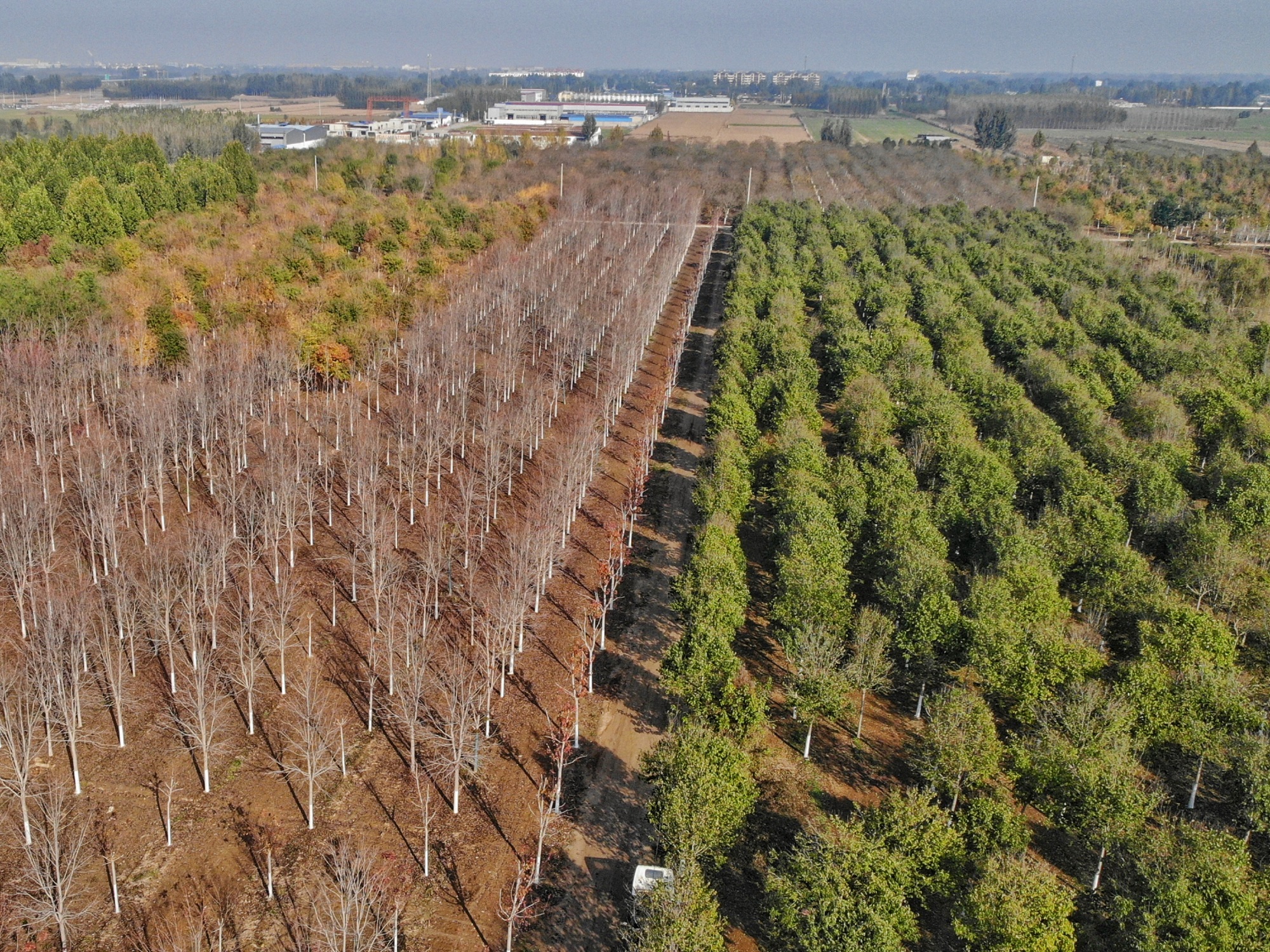 圖片默認標題_fororder_8