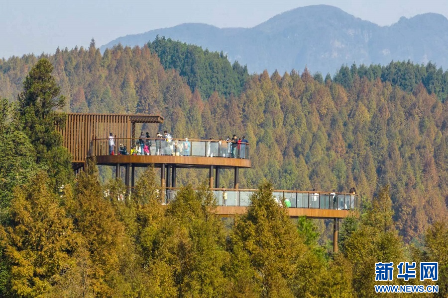 重庆南川：山王坪霜林尽染