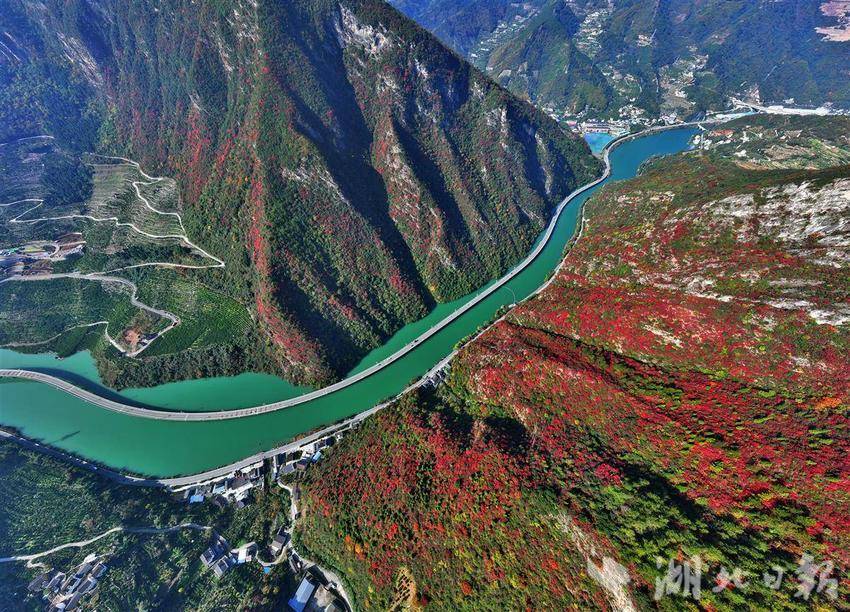 三峽香溪兩岸紅葉似彩霞