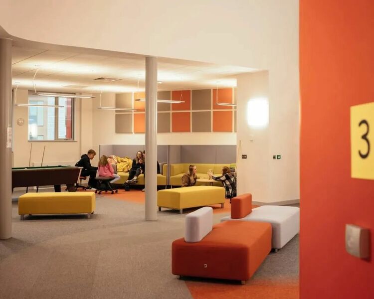 用设计抚平他们日常生活的障碍