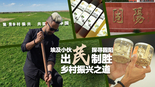 新時代，我在中國 | 埃及小夥探尋固陽出“芪”制勝鄉村振興之道