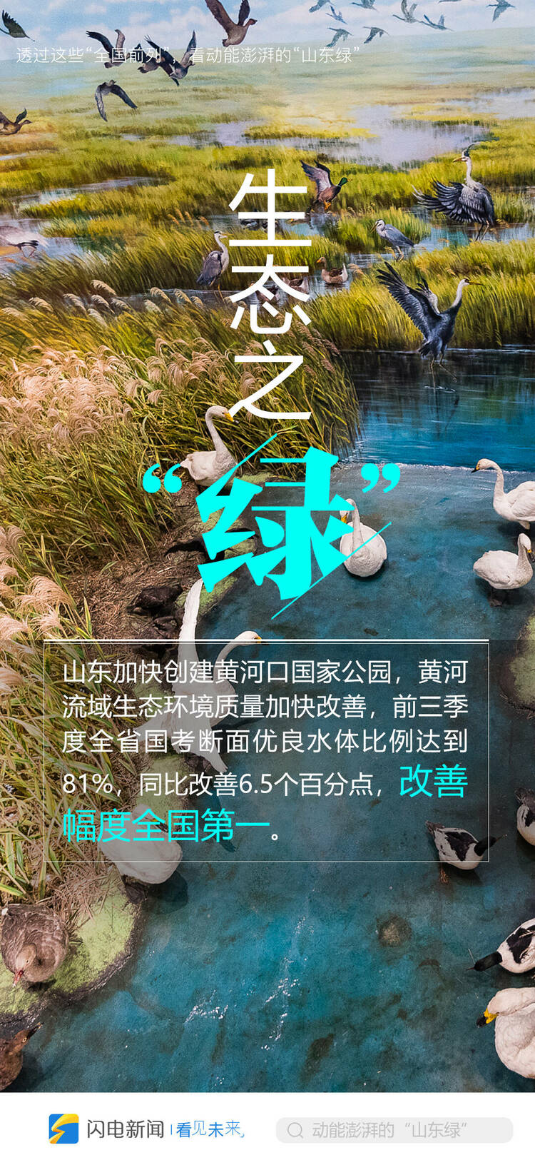 透过这些“中国前列”，看动能澎湃的“山东绿”