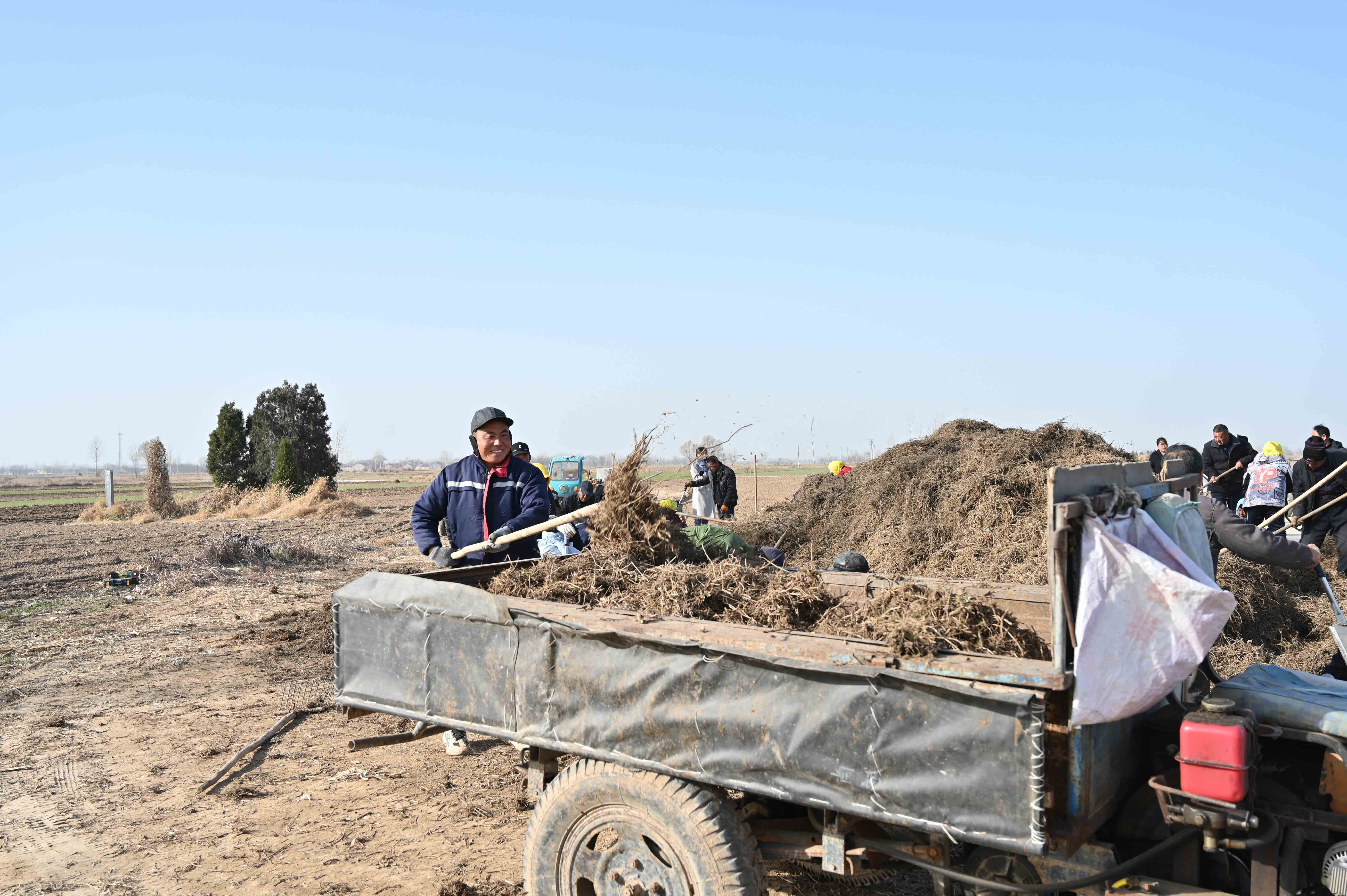 河北盐山：发展中草药种植 助力乡村振兴_fororder_图片8