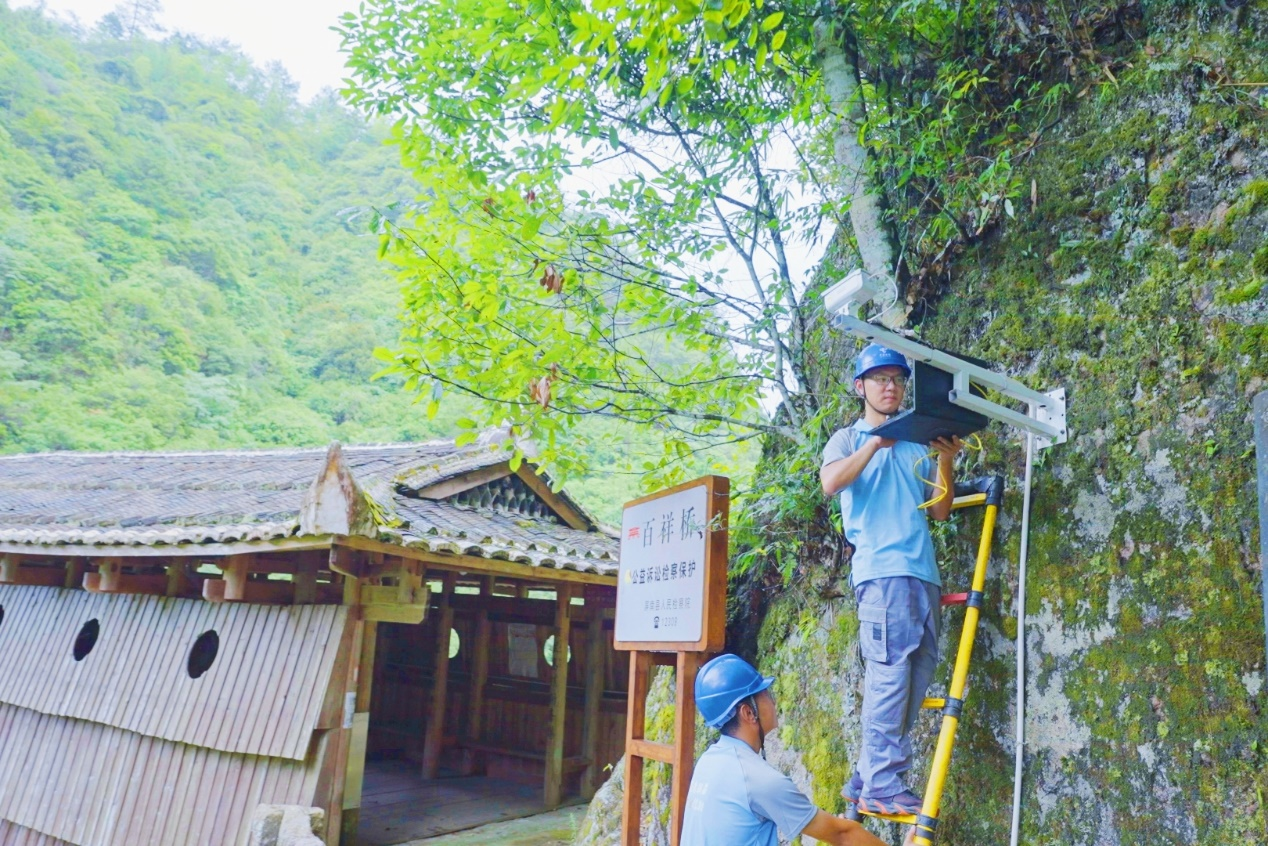 福建：中國電信助力數字鄉村建設_fororder_圖片2