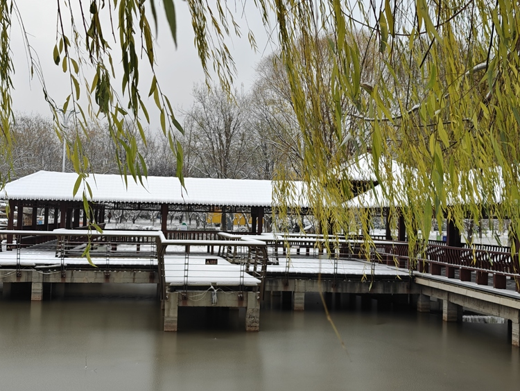 Парк Дунхуань города Шицзячжуан: зима в серебряном наряде_fororder_图片10