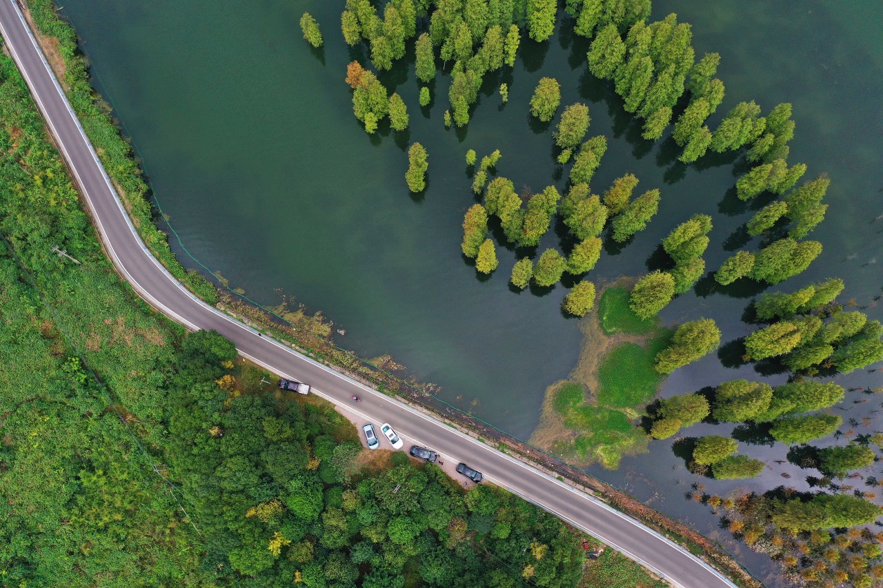 宁波鄞州：凤鸣东吴，太白共富，勾勒千年古镇绝美画卷_fororder_12092253150408