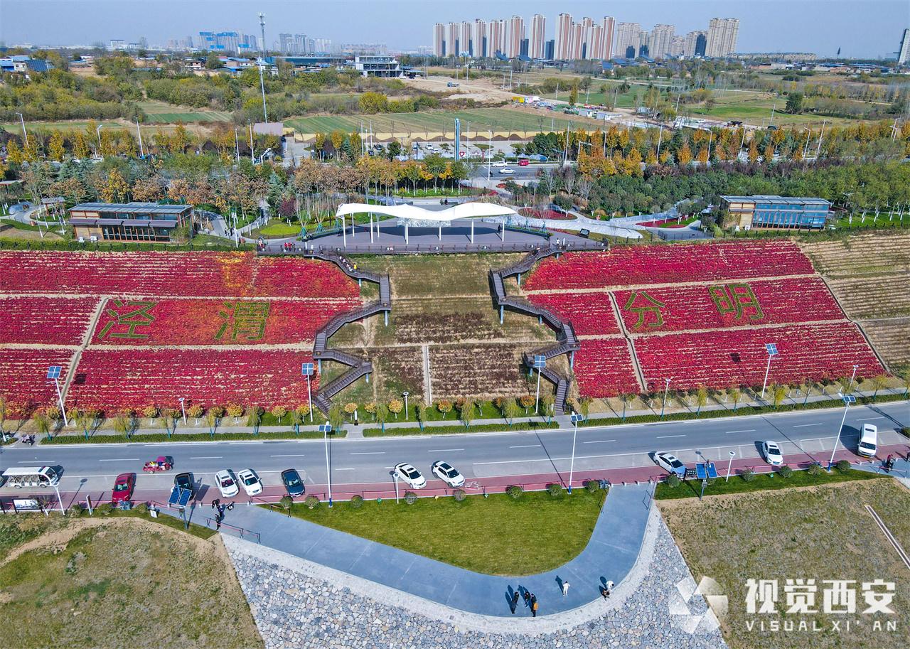 冬日景色别样美