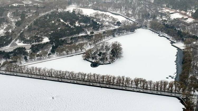 沈阳：雪后昭陵如画，冬泳健儿畅游