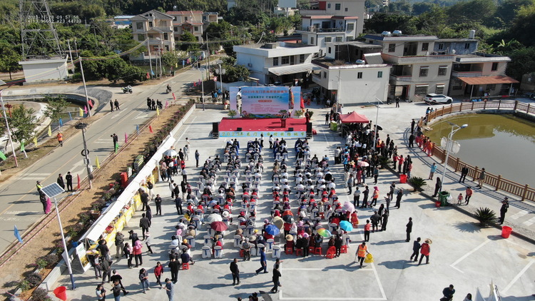 2023年龍門縣麻榨鎮楊桃節隆重開幕_fororder_圖片11