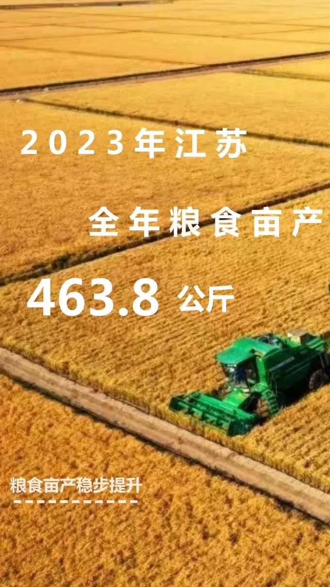 總産量759.5億斤 2023年江蘇糧食生産再獲好收成